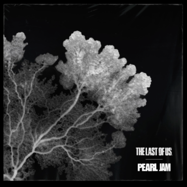 Pearl Jam - Singles