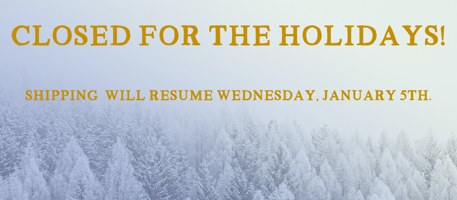 Pearl Jam - Holiday Closure